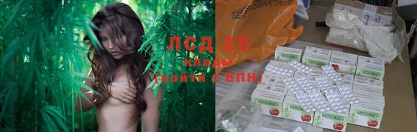 крисы Карталы