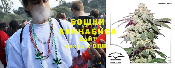 мескалин Касимов