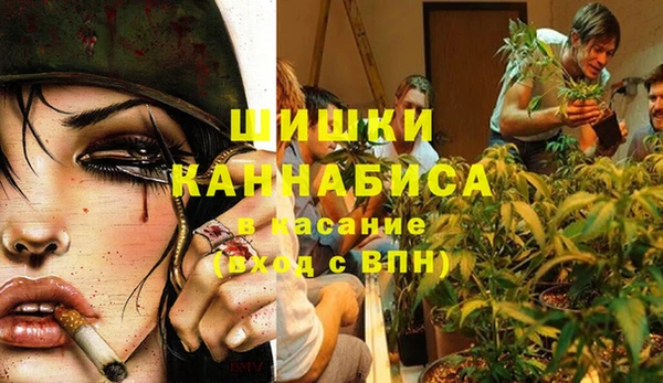 мескалин Касимов
