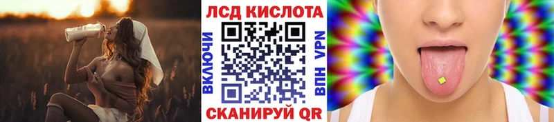 Купить  Дзержинский  Марки N-bome 1500мкг 