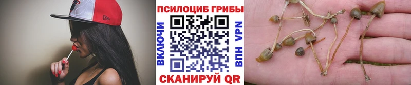 Купить где  Дзержинский  Псилоцибиновые грибы мухоморы 